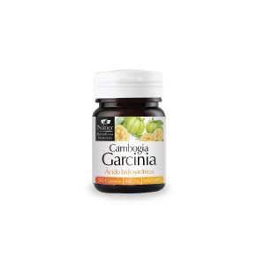 Garcinia Cambogia.